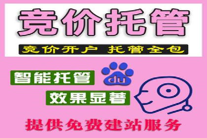 百度竞价排名实战：关键词优化与数据分析案例