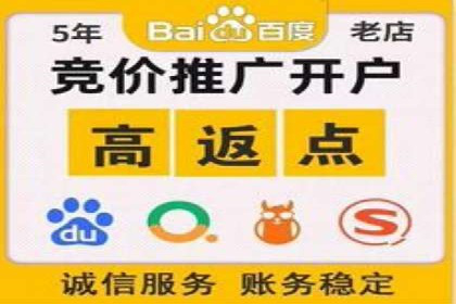 成功案例解析：SEO与SEM协同营销策略